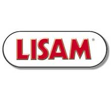 lisam_mini